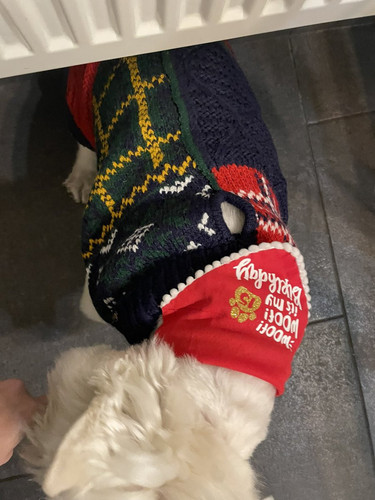 G h1STTXwAExmG0?format=jpg.jpg