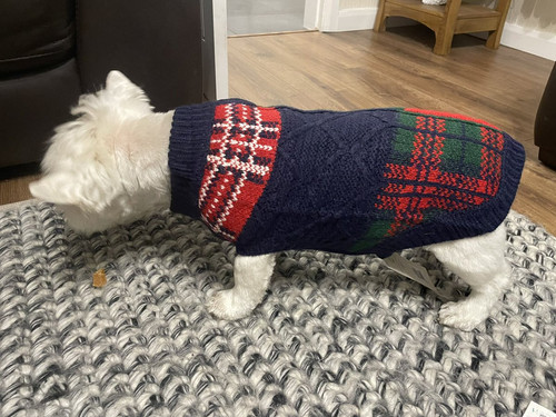 G h1STUWsAAAjbq?format=jpg.jpg