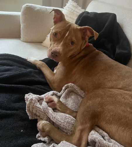 G92lBnybYAAc ra?format=jpg.jpg