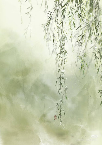 Camera 1040g3k831on8k04ogg005pv7m6nji0mro84rkj0.jpg