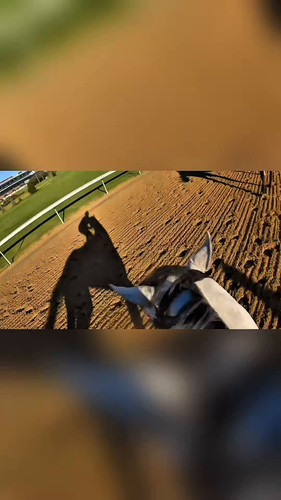 ZG Dh1A3j9qxTA2J.jpg