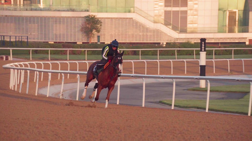 Nld7pe6YQ ygpZOw.jpg