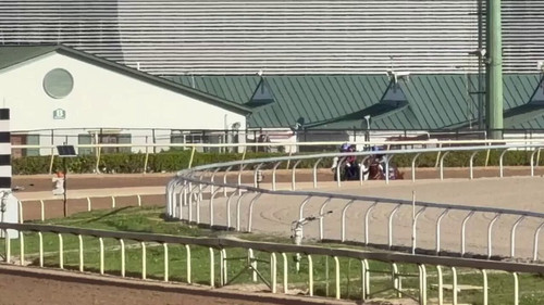 rjP10FOu R9wmFl6.jpg