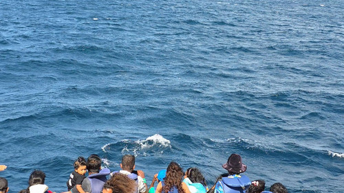 pCwbVtMR k37DntO.jpg