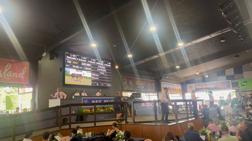 8a1qJp nnpI AlBa.jpg