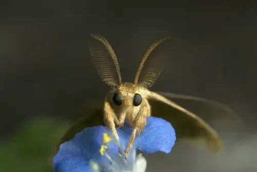 1768308442095 715.webp