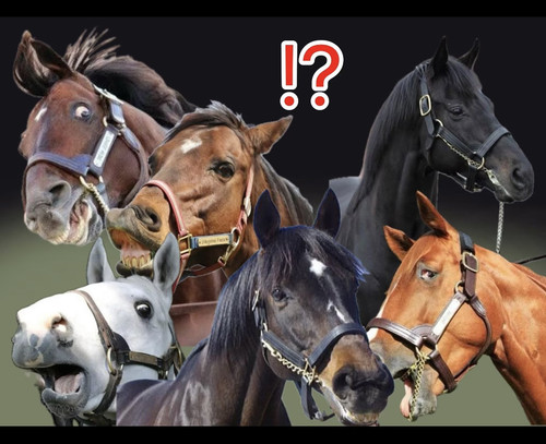 0ED76831 67CF 4168 A6D9 FDA931C25EE7.jpg