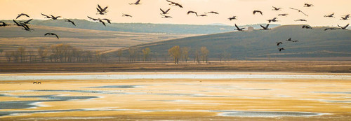 G ekTPVWkAIPZkS?format=jpg.jpg