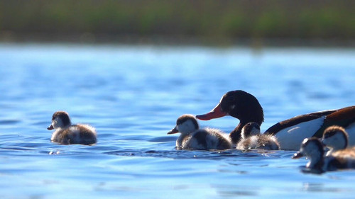 mKYtViqFyTQ1E 7c.jpg