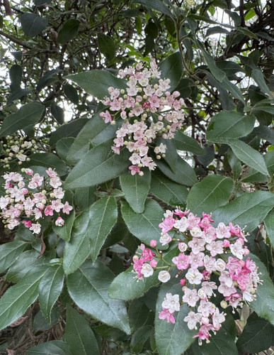 G d GQRXMAAN hH?format=jpg.jpg