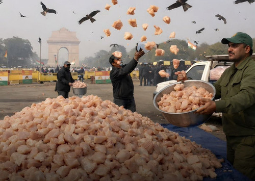 G mUPvIbQAMBwAk?format=jpg.jpg