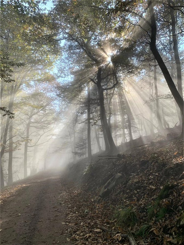 G nX0O2W8AA0pBz?format=jpg.jpg