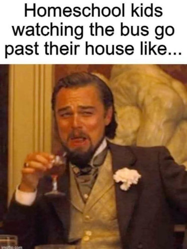 48ba206d 1e65 49c0 9b23 61a682d8ee31.jpg