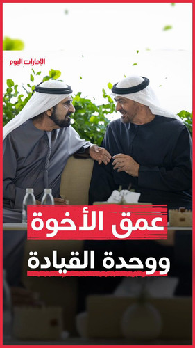 WKhz87 bJywzSdGd.jpg