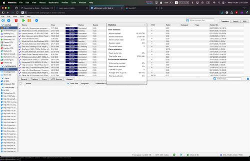 תמונה מביטטורנט.jpg