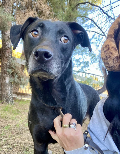 G jMIbRXoAEg74w?format=jpg.jpg