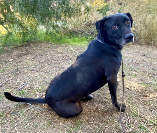 G jMIbgXYAAiWv4?format=jpg.jpg