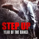 stepup6