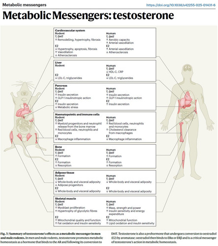 G g7oSAXAAA8dR2?format=jpg.jpg