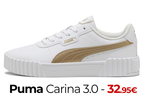 puma carina 3o.jpg