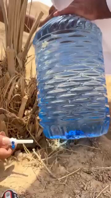 AdAFPBuRkVHU XBm.jpg