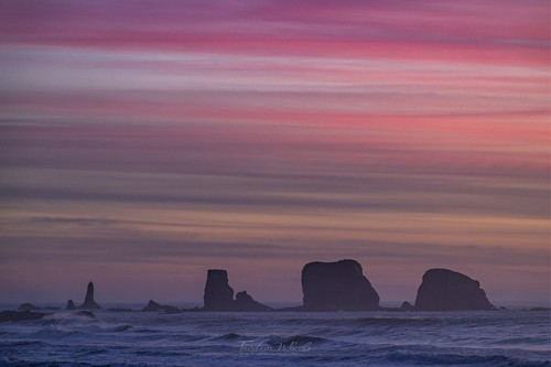 G hASsIbkAA3qSt?format=jpg.jpg