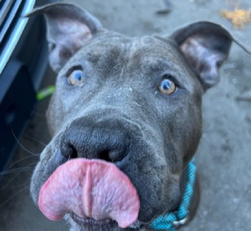 G5 UrOYbMAcVeBB?format=png.png