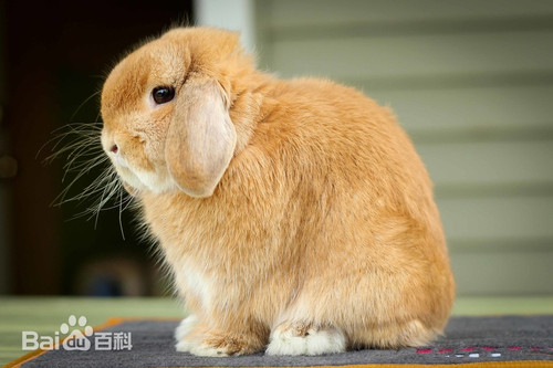 IMG 20260113 193202.jpg