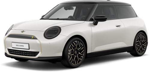 mini electric 2020.png