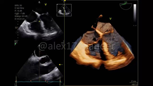 8SjEsCJVAbSaH DQ.jpg