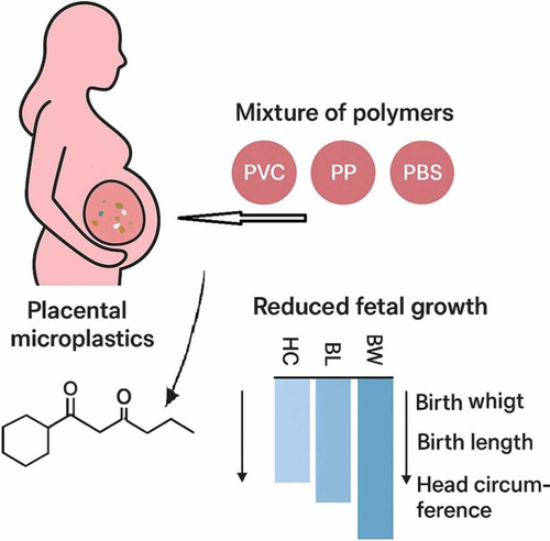 G YoGdMWUAAxfqt?format=jpg.jpg