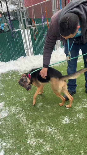 nRc 7eNPdptluUbl.jpg