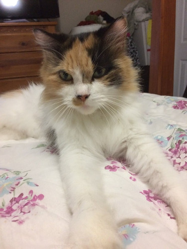 G lRtozXQAAdsU ?format=jpg.jpg