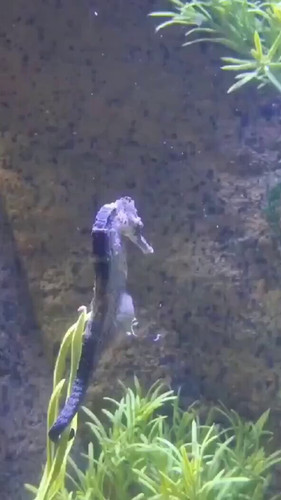 GoI9JNsE4 CgCd R.jpg