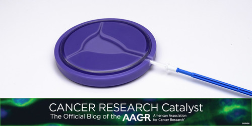 G i8ajNWkAAaG0C?format=jpg.jpg