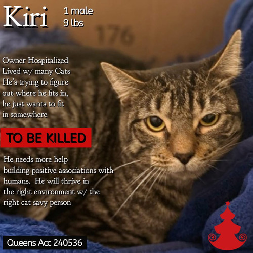 G mAjYFakAAOGkI?format=jpg.jpg