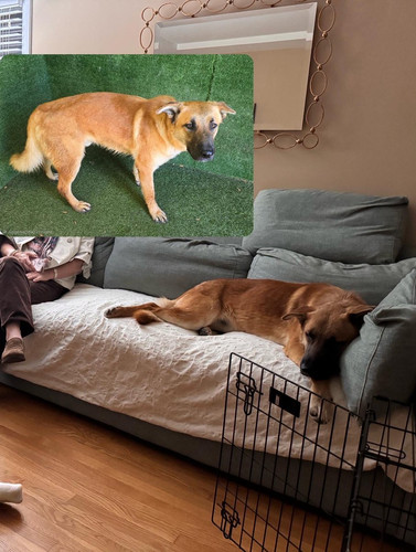 G KgH8xWkAAKJ9g?format=jpg.jpg