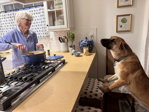 G jmxetXMAkUxuC?format=jpg.jpg