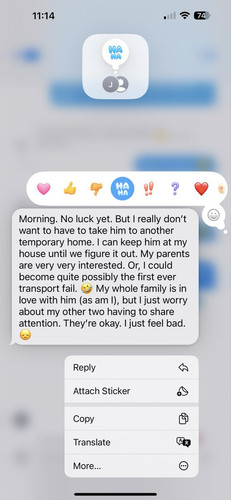 G jmxevWUAA1PzA?format=jpg.jpg