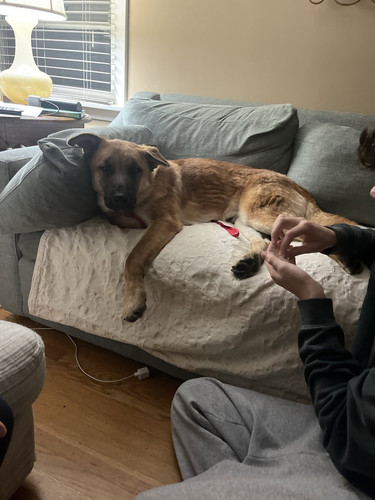 G KgH82XwAA73vz?format=jpg.jpg