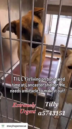 VB0M6fEp ALzN yr.jpg