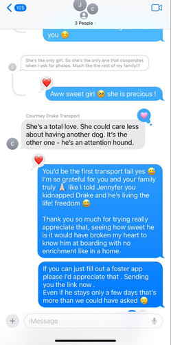 G jmxetWMAEWdtP?format=jpg.jpg