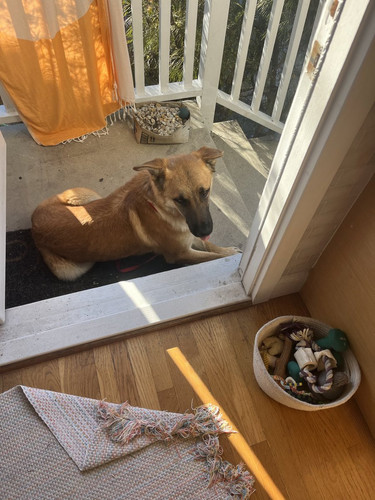 G KgH8vXcAAqctU?format=jpg.jpg