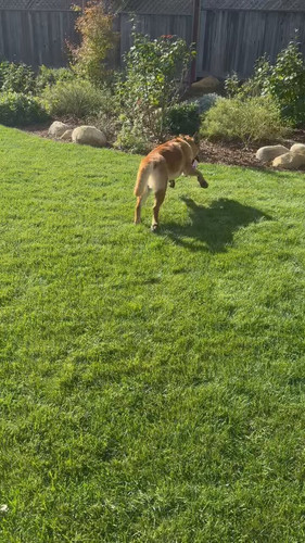 WEWTiGEHP619Mr 2.jpg