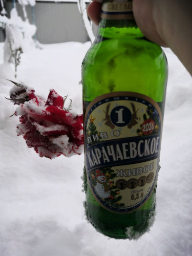 telegram photo 0 5379778363578322140.jpg