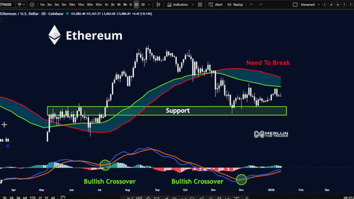 q RBLFl5zXZ8tPze.jpg