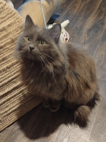 G jtMaLXIAANtqg?format=jpg.jpg