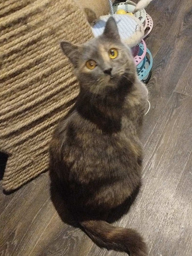 G jtITWXwAASl3M?format=jpg.jpg