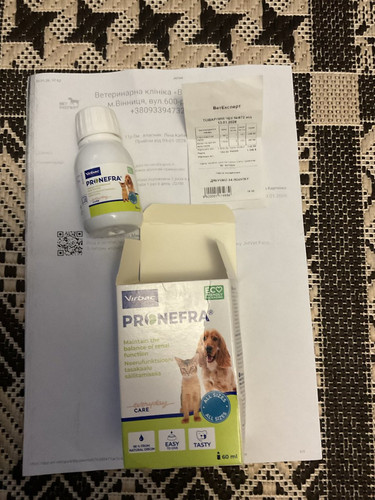 G kQKQPW0AA M1Q?format=jpg.jpg