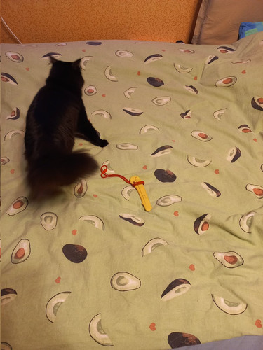 G m3kxoXoAAWB0E?format=jpg.jpg